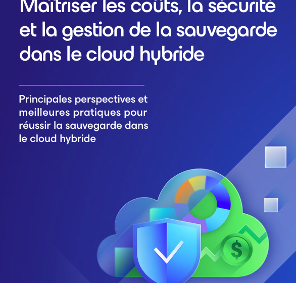  Maitrisez la sauvegarde cloud hybride : E-book sur les solutions securisees