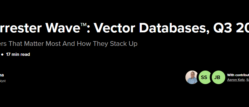  The Forrester Wave™: Vector Databases, Q3 2024