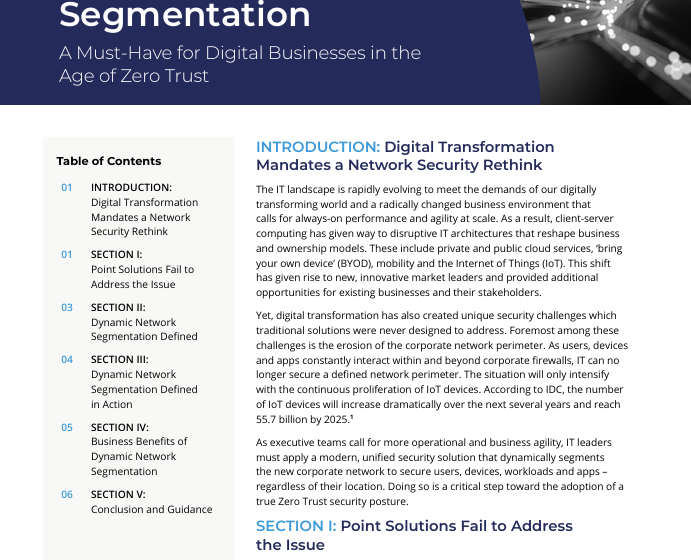  Dynamic Network Segmentation