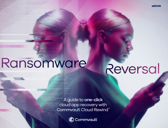  A Guide to Ransomware Reversal
