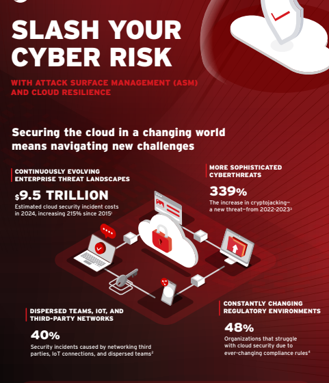  Slash Your Cyber Risk Infographic