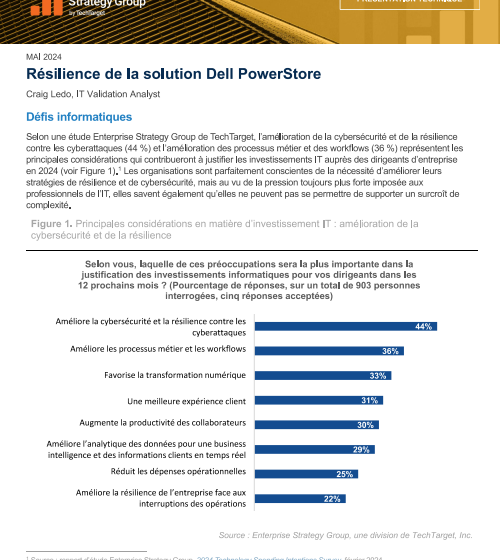  Rsilience de la solution Dell PowerStore