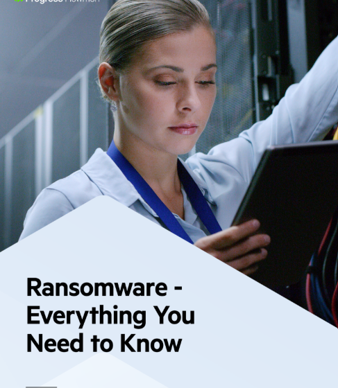  Ransomware – Everything You Need to Know