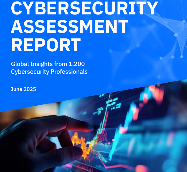 Cybersecurity Assessment Report