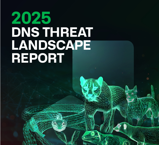 DNS Threat Landscape Report