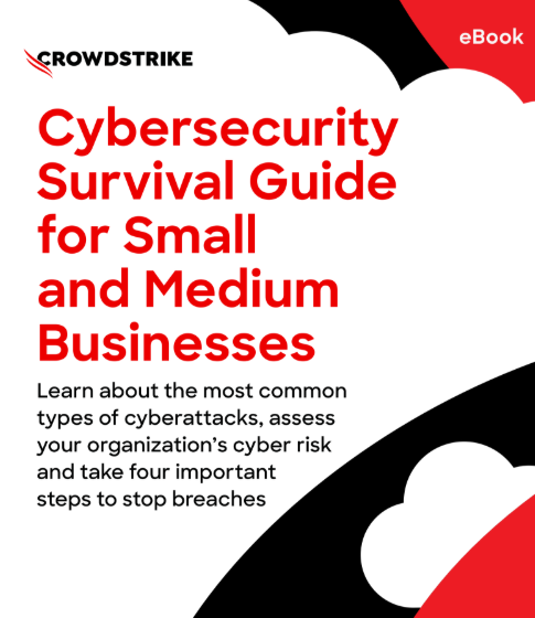  Cybersecurity Survival Guide for Small and Medium Businesses