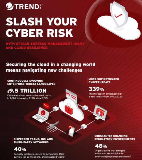  SLASH YOUR CYBER RISK