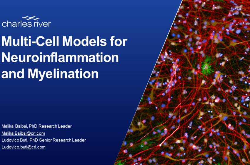  Multi-Cell Models for Neuroinflammation and Myelination