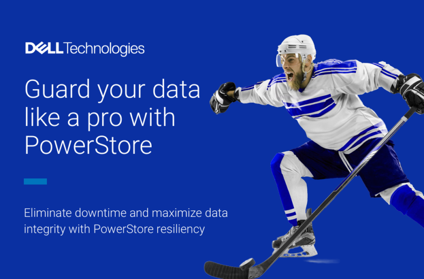  Guard your Data Like a Pro with PowerStore