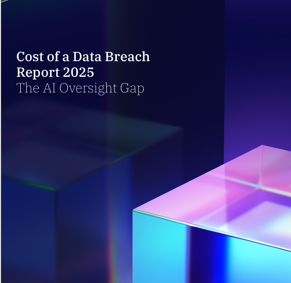  Cost of a Data Breach Report 2025