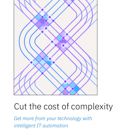  IBV – Cut the cost of complexity report