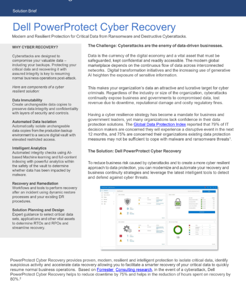  Dell PowerProtect Cyber Recovery