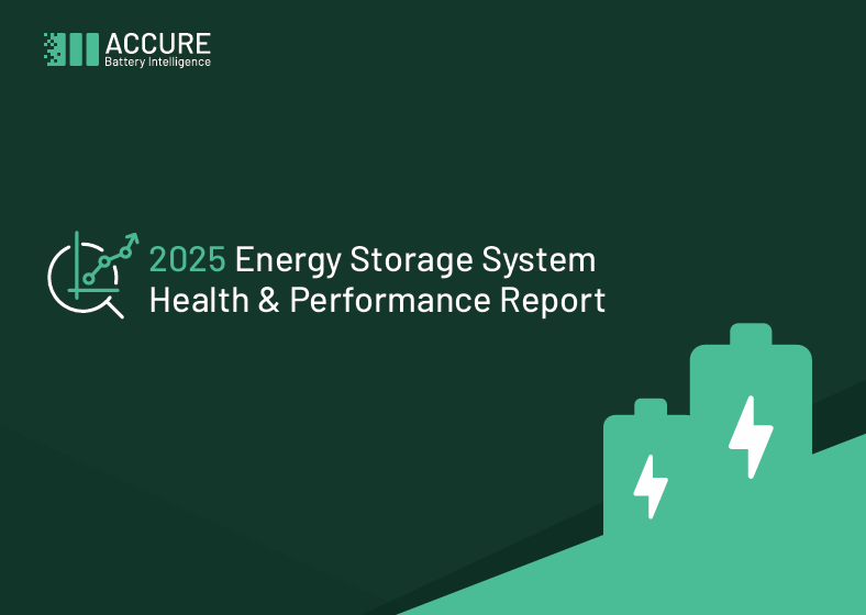  2025 Energy Storage System Health & Performance Report