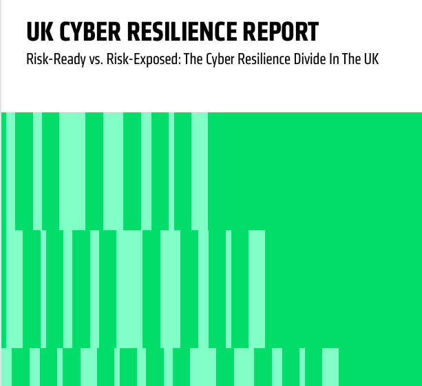  Global Cyber Resilience Report (Vanson Bourne)