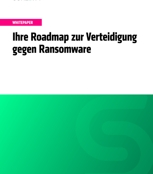  Ihre Roadmap zur Verteidigung gegen Ransomware