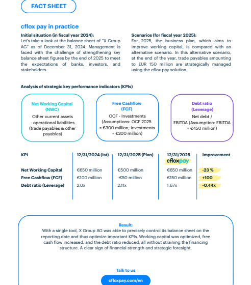  2025_cflox_factsheet_annualfinancialstatement_EN