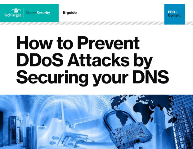 How to Prevent DDoS Attacks by Securing your DNS