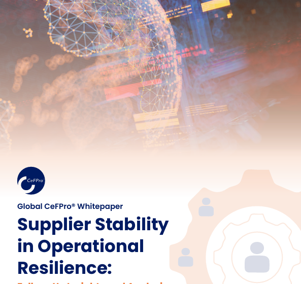  Supplier Stability in Operational Resilience: Follow-Up Insights and Analysis