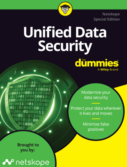  Unified Data Security For Dummies
