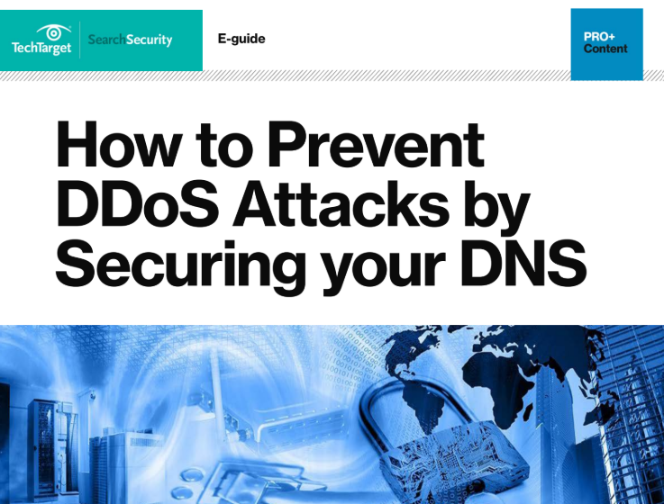  How to Prevent DDoS Attacks by Securing your DNS