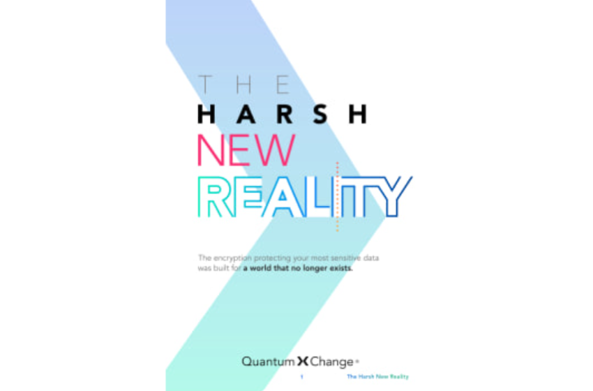  The Harsh New Reality