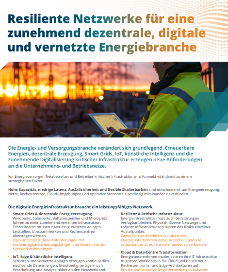  Resiliente Netzwerke für eine zunehmend dezentrale, digitale und vernetzte Energiebranche